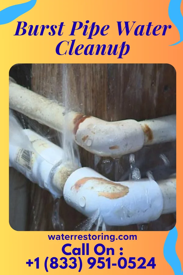 Burst Pipe Water Cleanup in Panama, IA