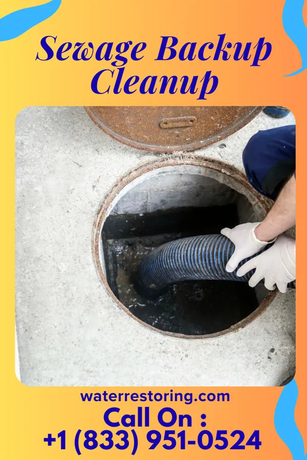 Sewage Backup Cleanup in Panama, IA
